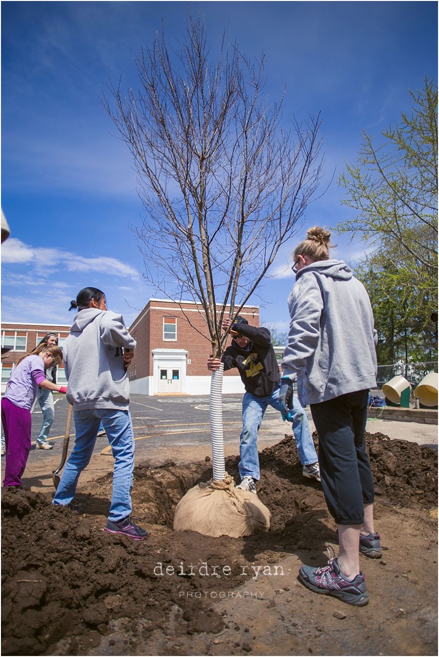 ClaraBartonElementarySchoolTreePlantingDeirdreRyanPhotographyFriendsofTheEcologicalSchoolyardatClaraBarton15