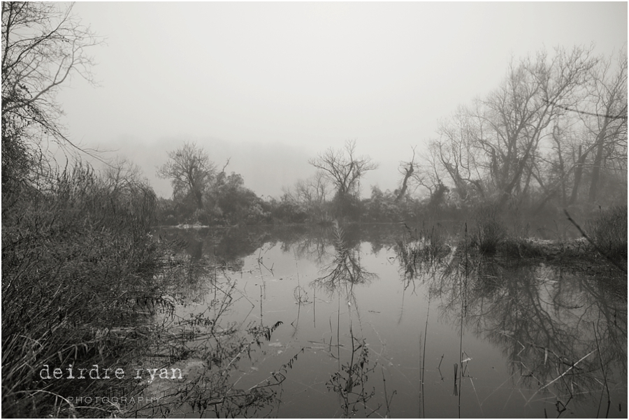 FoggyMorningCreekNJ_DeirdreRyanPhotography_BordentownNJ