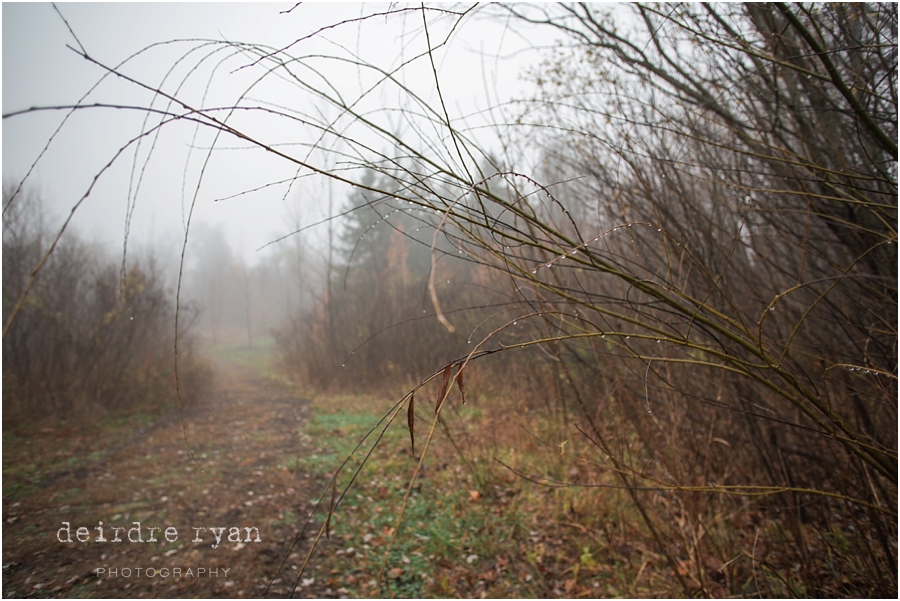 FoggyMorningCreekNJ_DeirdreRyanPhotography_BordentownNJ