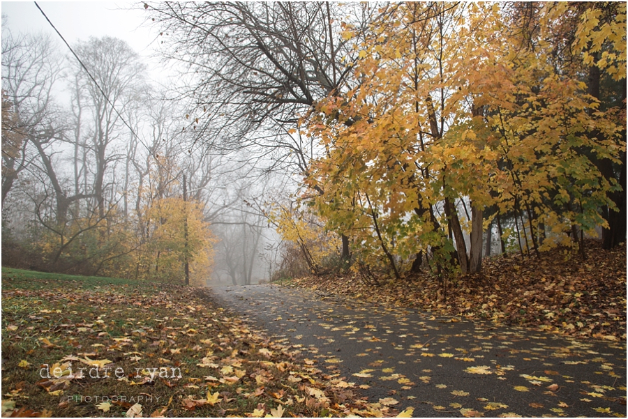 FoggyMorningCreekNJ_DeirdreRyanPhotography_BordentownNJ