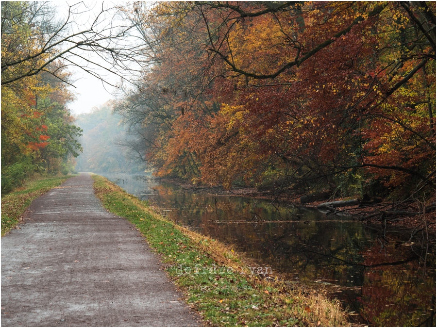 Delaware Canal,Olympus OM-D E-M5 MARK II,PA,Photo By Deirdre Ryan Photography www.deirdreryanphotography.com,autumn,fall,foliage,mirrorless camera,path,trees,