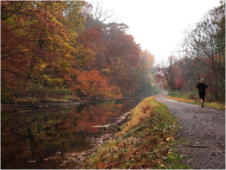 Delaware Canal,Olympus OM-D E-M5 MARK II,PA,Photo By Deirdre Ryan Photography www.deirdreryanphotography.com,autumn,fall,foliage,mirrorless camera,path,trees,