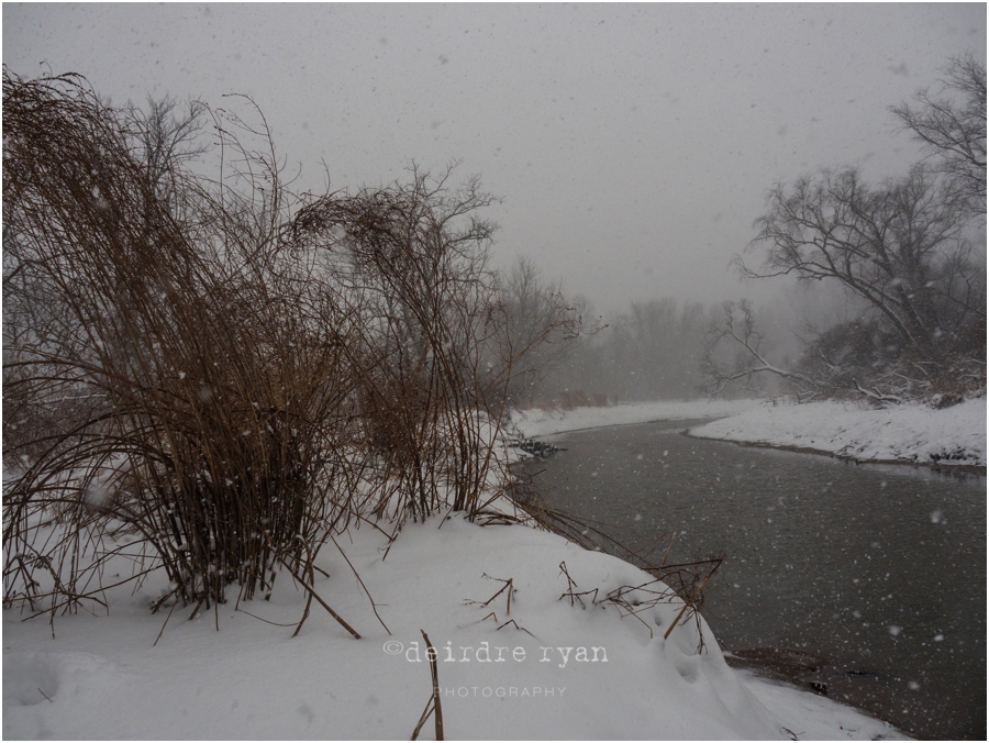 Black's Creek,Bordentown,NJ,Nature Preserve,Olympus OM-D E-M5II,Photo By Deirdre Ryan Photography www.deirdreryanphotography.com,snowing,