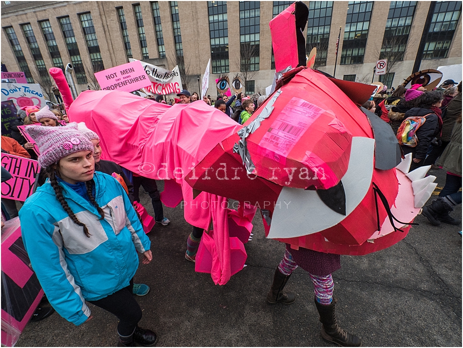 WomensMarchWashDC2017Deirdre Ryan PhotographyP1210401.jpg