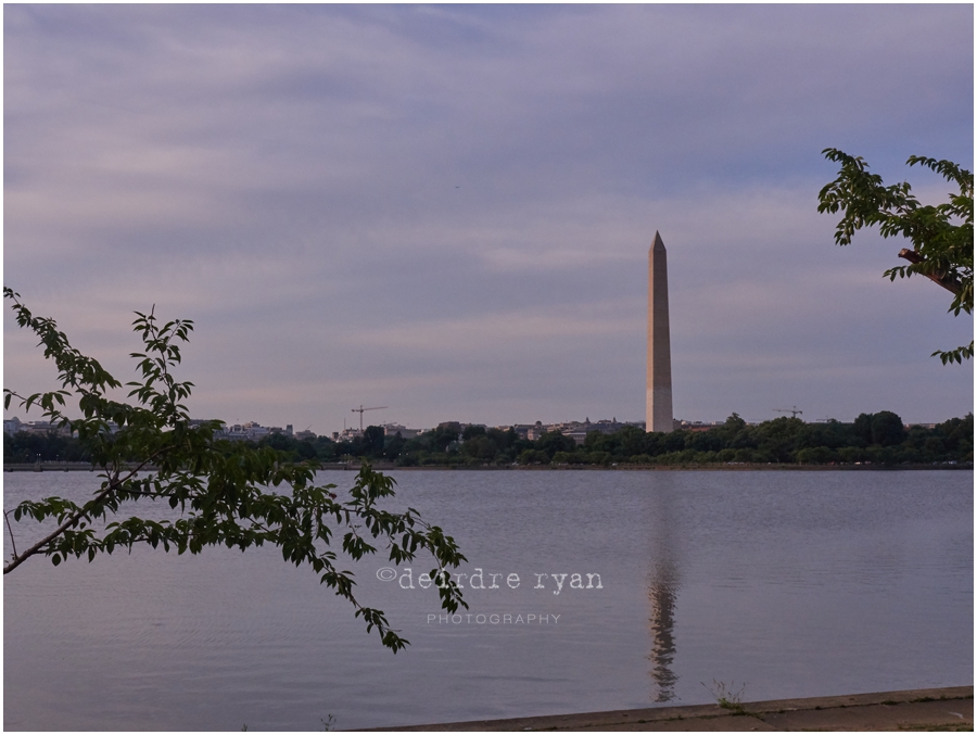 P6280899WashingtonDCTrip.jpg