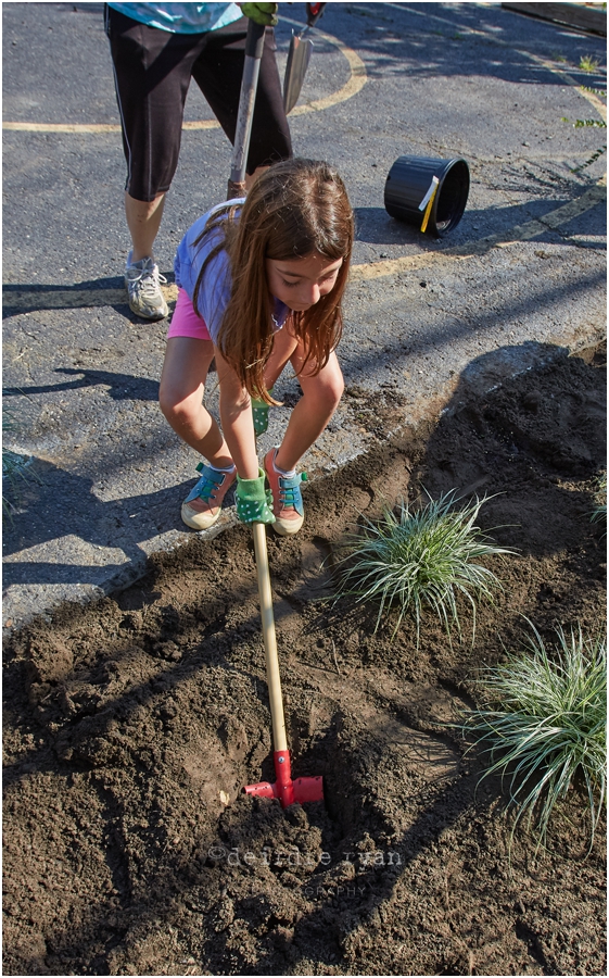 IMG_0996Phase One - Planting by DeirdreRyanPhotography.jpg