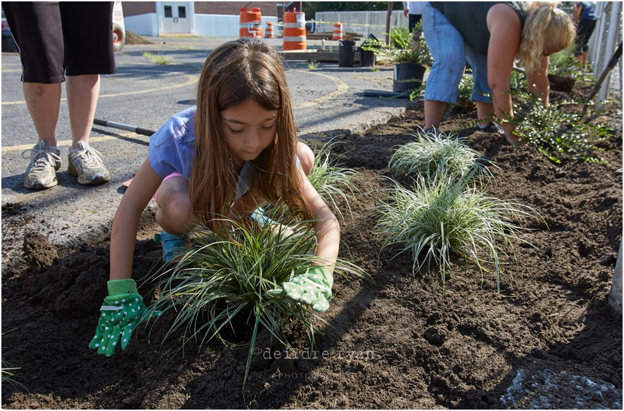 IMG_1021Phase One - Planting by DeirdreRyanPhotography.jpg