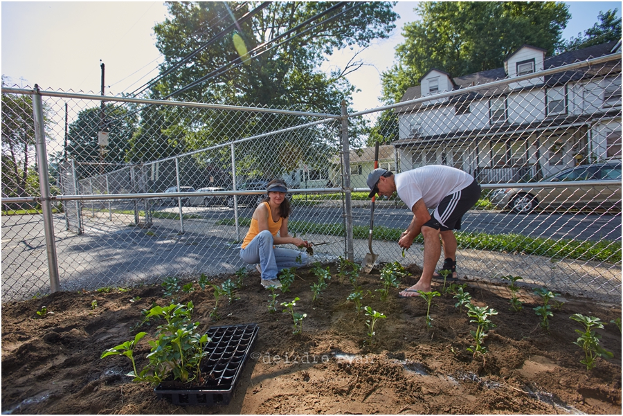 IMG_1076Phase One - Planting by DeirdreRyanPhotography.jpg