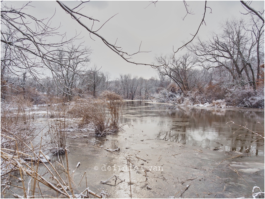 Black's Creek,Bordentown,NJ,Winter,2018,ice,snow,winter lace,Deirdre Ryan Editorial and Commercial Photography,New Jersey,Olympus OM-D E-M5 Mark II,Olympus 14-150mm f4-5.6 II Weather Sealed (Micro Four Thirds),lens,