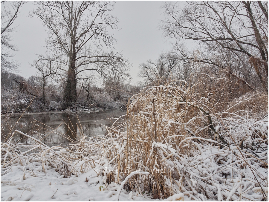 Black's Creek,Bordentown,NJ,Winter,2018,ice,snow,winter lace,Deirdre Ryan Editorial and Commercial Photography,New Jersey,Olympus OM-D E-M5 Mark II,Olympus 14-150mm f4-5.6 II Weather Sealed (Micro Four Thirds),lens,