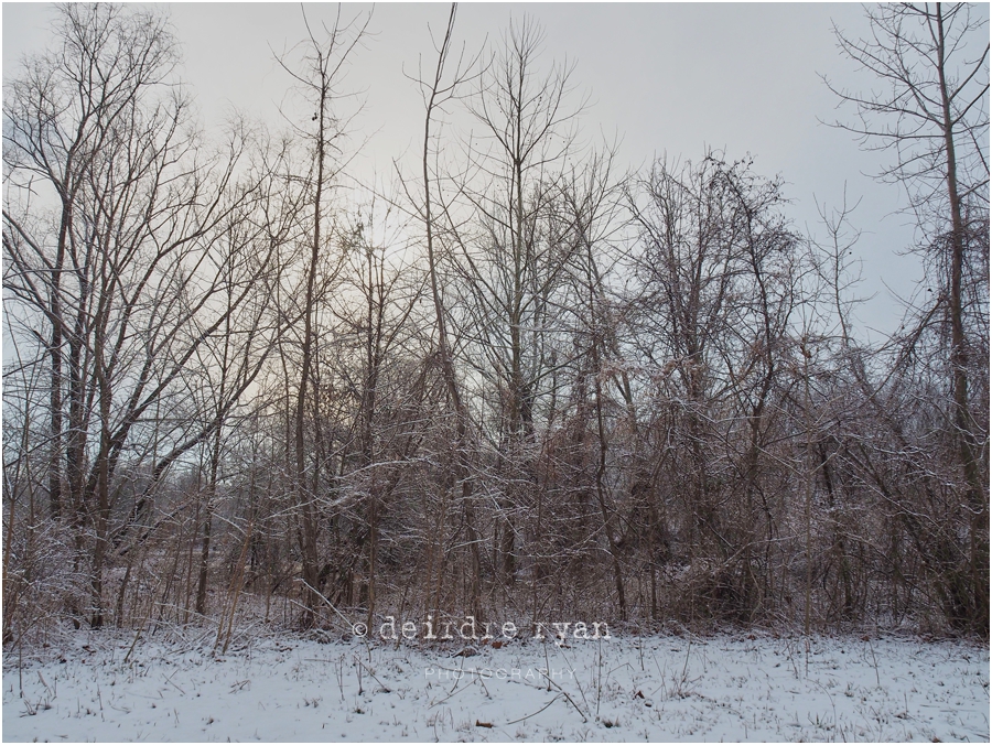 Black's Creek,Bordentown,NJ,Winter,2018,ice,snow,winter lace,Deirdre Ryan Editorial and Commercial Photography,New Jersey,Olympus OM-D E-M5 Mark II,Olympus 14-150mm f4-5.6 II Weather Sealed (Micro Four Thirds),lens,