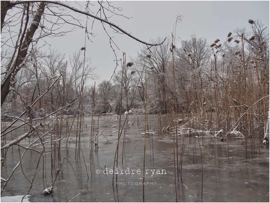 Black's Creek,Bordentown,NJ,Winter,2018,ice,snow,winter lace,Deirdre Ryan Editorial and Commercial Photography,New Jersey,Olympus OM-D E-M5 Mark II,Olympus 14-150mm f4-5.6 II Weather Sealed (Micro Four Thirds),lens,