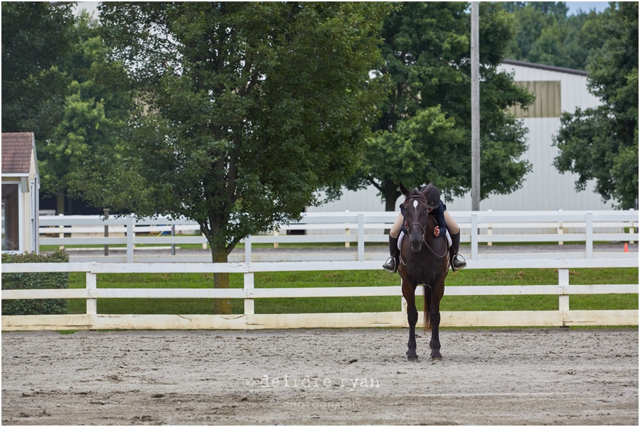 IMG_4323StandardbredNationsbyDeirdre Ryan Photography www.deirdreryanphotography.com.jpg