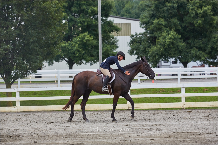 IMG_4328StandardbredNationsbyDeirdre Ryan Photography www.deirdreryanphotography.com.jpg