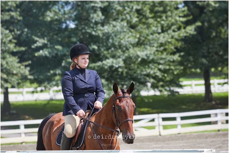 IMG_4444StandardbredNationalHorseShowbyDeirdreRyanPhotography.jpg