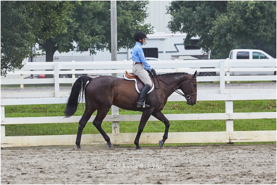 IMG_4566StandardbredNationalHorseShowbyDeirdreRyanPhotography.jpg